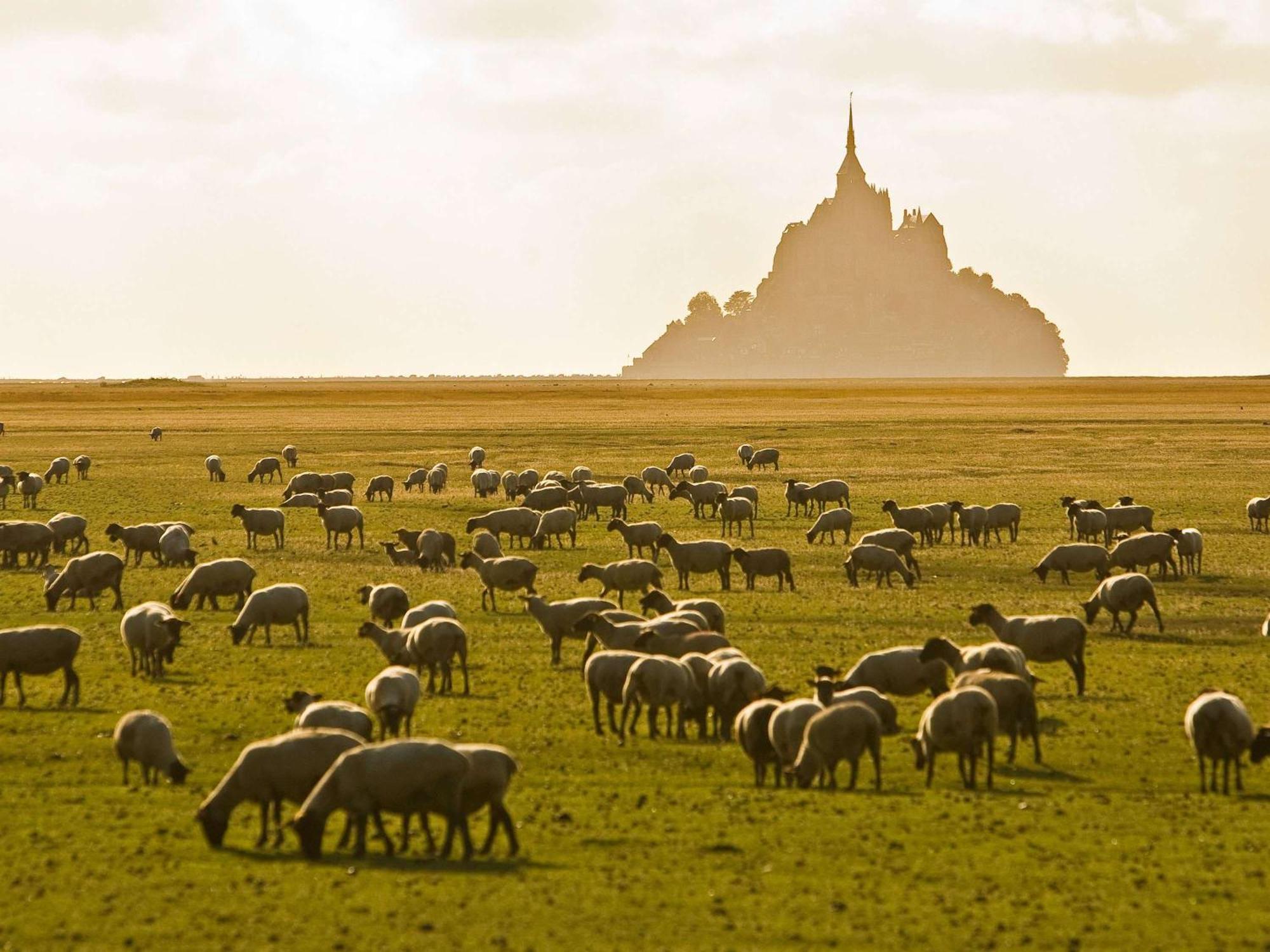 Hotelf1 Avranches Baie Du Mont Saint Michel Экстерьер фото